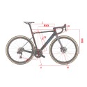 Wilier Rave SLR (1x12 Di2/SLR42) gravelbike, XL - must/hall